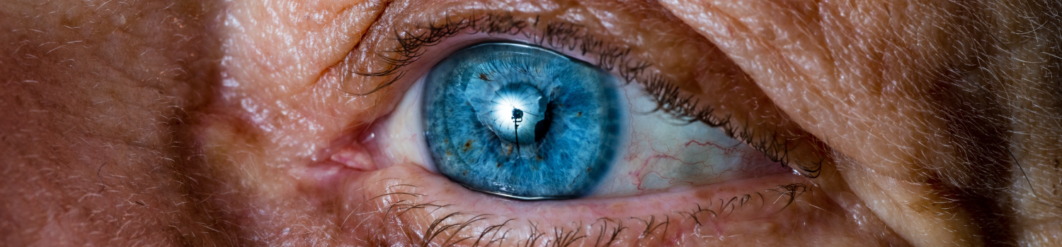 Netzhaut_shutterstock_2154509421